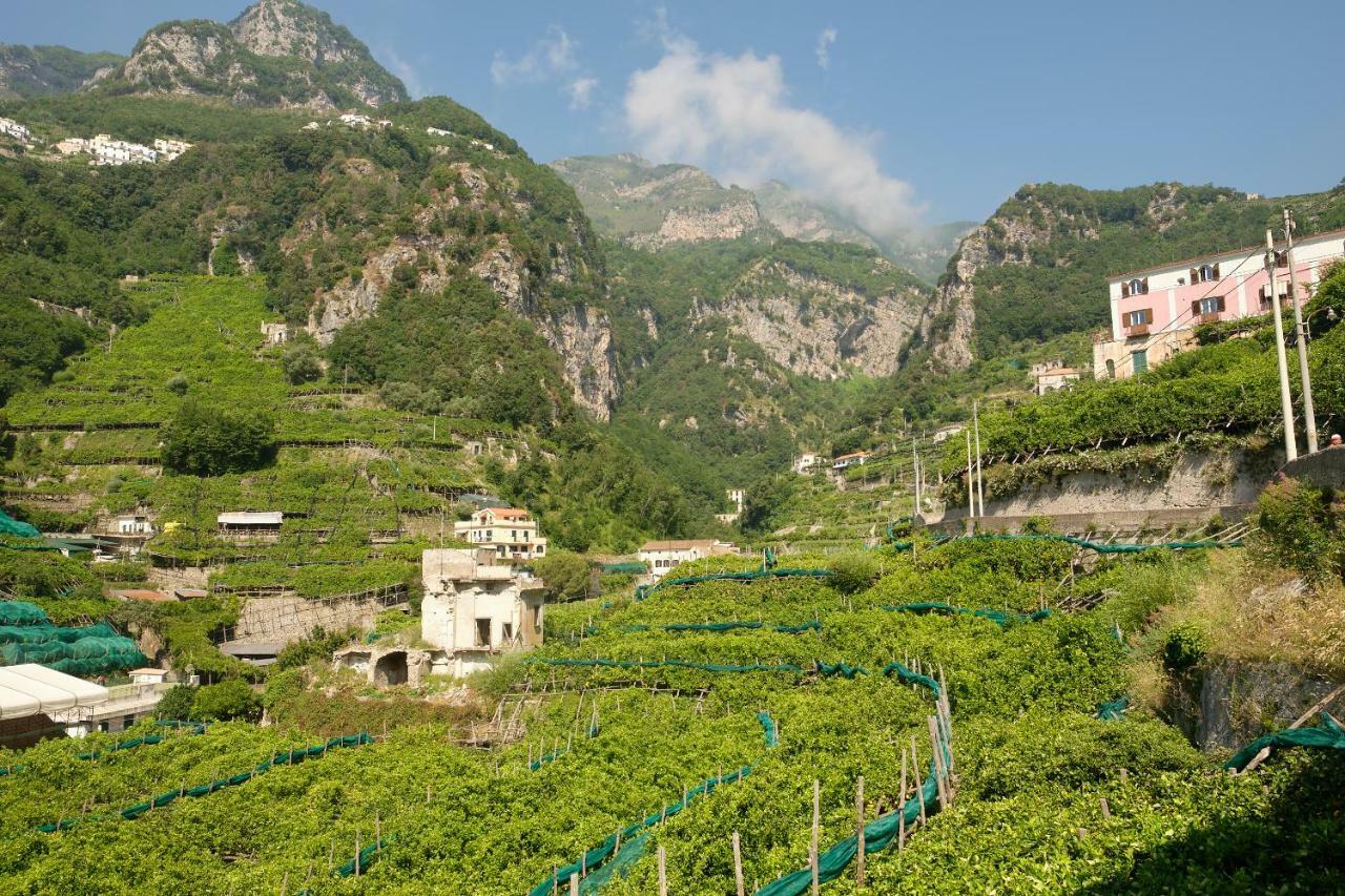 Villa Pricitella Amalfi Bagian luar foto